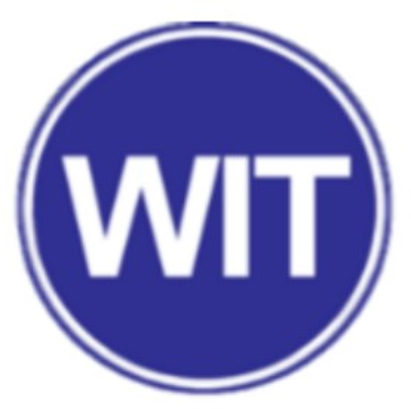WIT Strategy logo